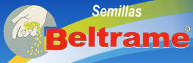 Logo Beltrame
