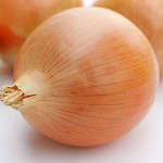 Cebolla