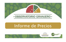 Informe de precios — Mercado Modelo